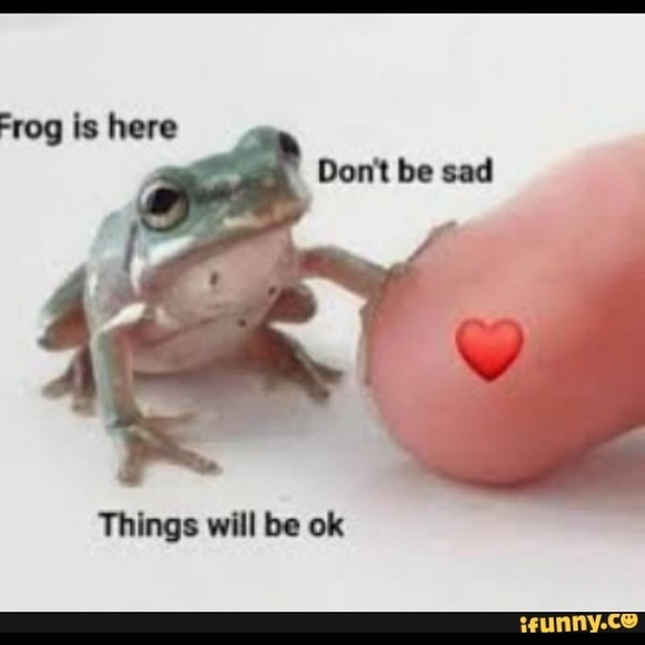 Meet your Posher, Tati - Picture 1 of 1